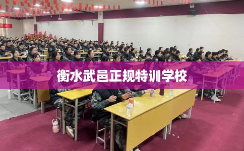 衡水武邑正规特训学校