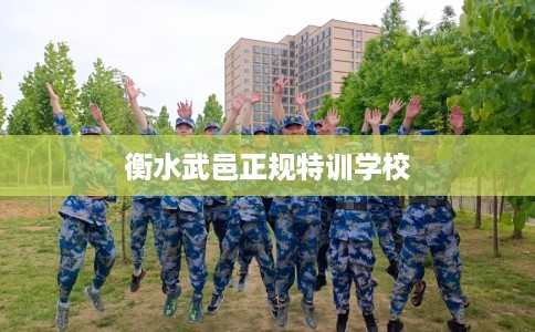 衡水武邑正规特训学校