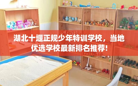 湖北十堰正规少年特训学校，当地优选学校最新排名推荐!