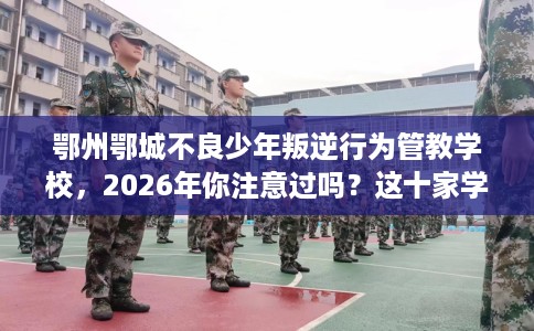 鄂州鄂城不良少年叛逆行为管教学校，2026年你注意过吗？这十家学校！