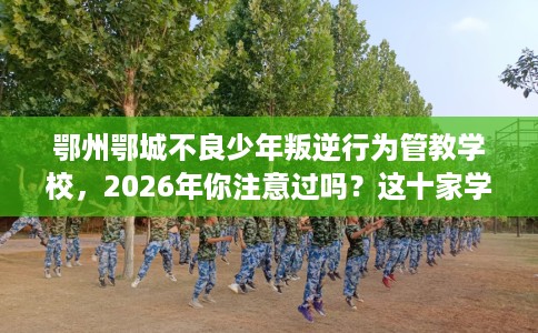 鄂州鄂城不良少年叛逆行为管教学校，2026年你注意过吗？这十家学校！