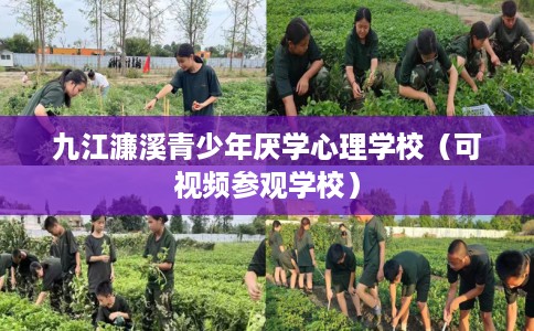 九江濂溪青少年厌学心理学校（可视频参观学校）