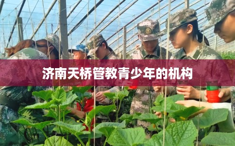 济南天桥管教青少年的机构