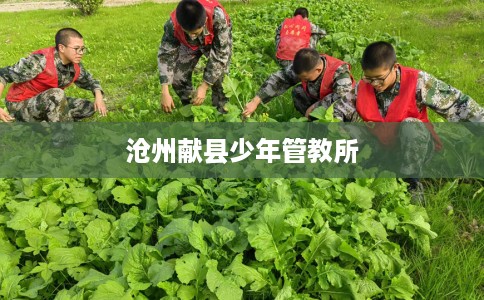 沧州献县少年管教所