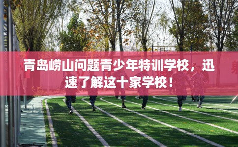 青岛崂山问题青少年特训学校，迅速了解这十家学校！