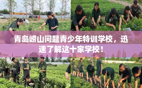 青岛崂山问题青少年特训学校，迅速了解这十家学校！