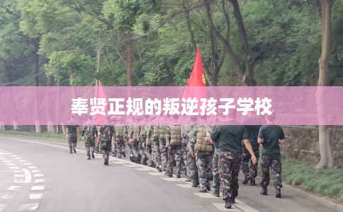 奉贤正规的叛逆孩子学校