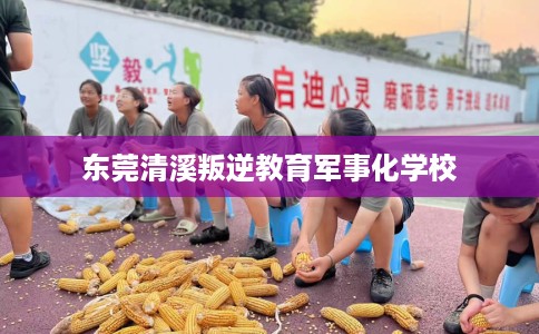 东莞清溪叛逆教育军事化学校