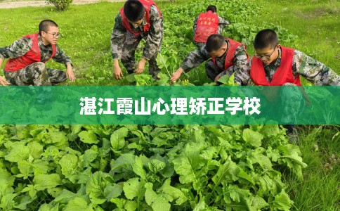 湛江霞山心理矫正学校