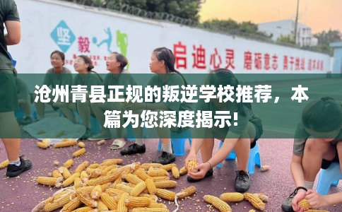 沧州青县正规的叛逆学校推荐，本篇为您深度揭示!