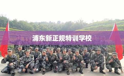 浦东新正规特训学校
