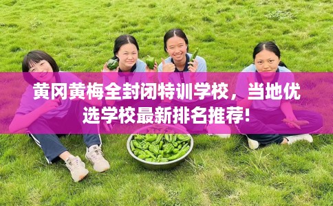 黄冈黄梅全封闭特训学校，当地优选学校最新排名推荐!