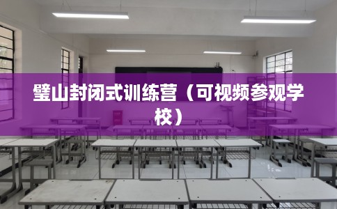 璧山封闭式训练营（可视频参观学校）