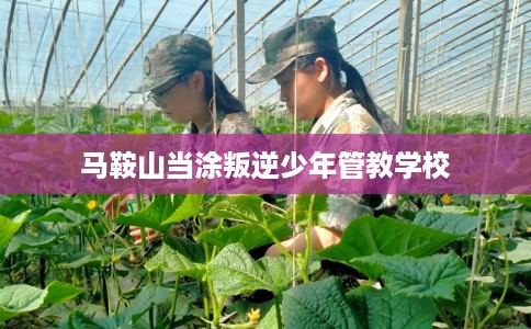 马鞍山当涂叛逆少年管教学校