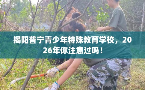 揭阳普宁青少年特殊教育学校，2026年你注意过吗！