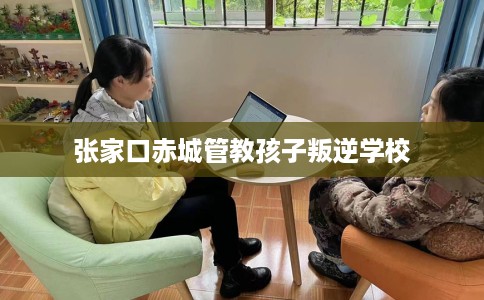 张家口赤城管教孩子叛逆学校