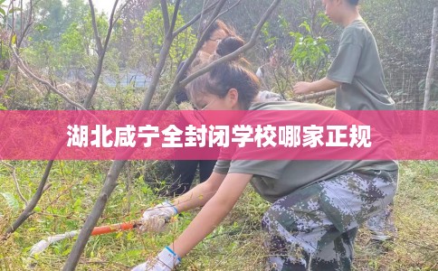 湖北咸宁全封闭学校哪家正规