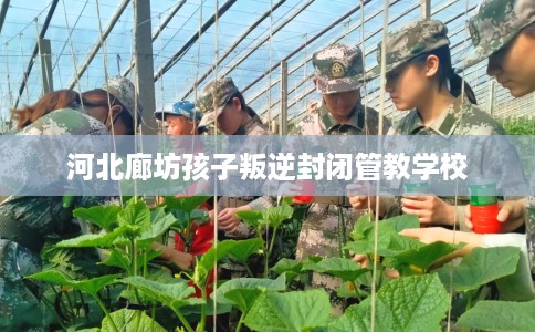 河北廊坊孩子叛逆封闭管教学校