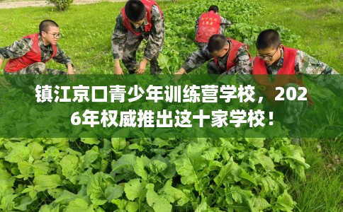 镇江京口青少年训练营学校，2026年权威推出这十家学校！