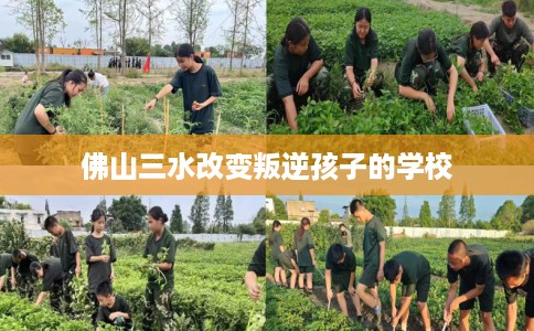 佛山三水改变叛逆孩子的学校