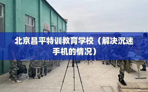 北京昌平特训教育学校（解决沉迷手机的情况）