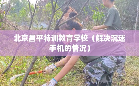 北京昌平特训教育学校（解决沉迷手机的情况）