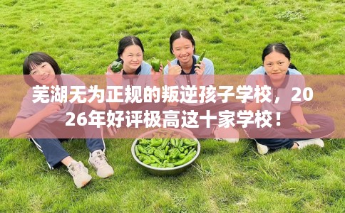 芜湖无为正规的叛逆孩子学校，2026年好评极高这十家学校！