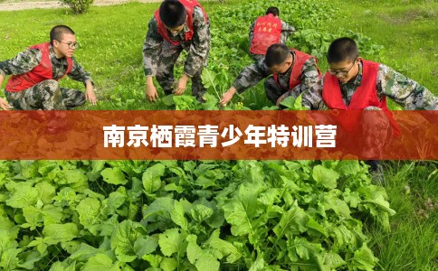 南京栖霞青少年特训营