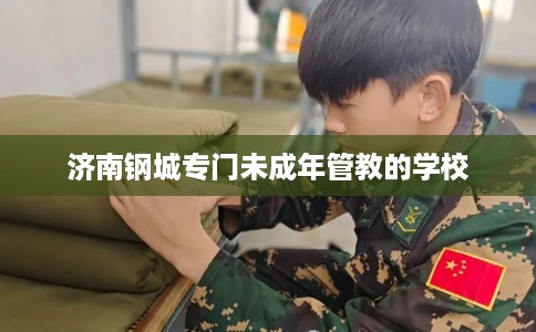 济南钢城专门未成年管教的学校