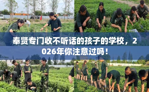 奉贤专门收不听话的孩子的学校，2026年你注意过吗！
