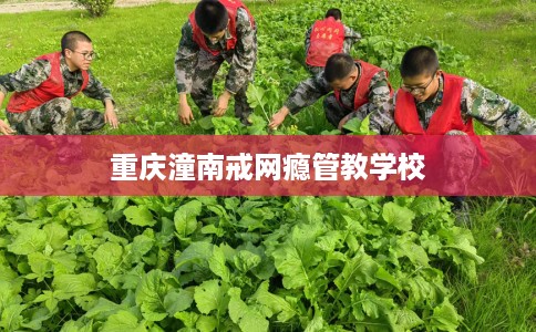 重庆潼南戒网瘾管教学校
