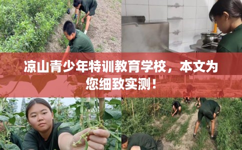 凉山青少年特训教育学校，本文为您细致实测！