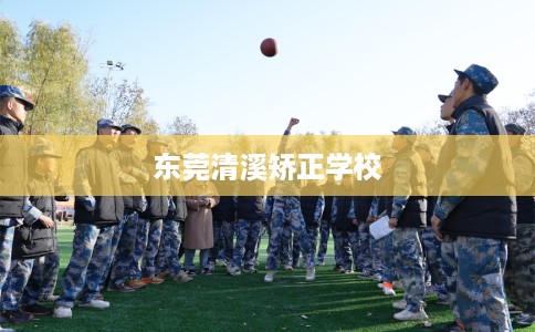 东莞清溪矫正学校