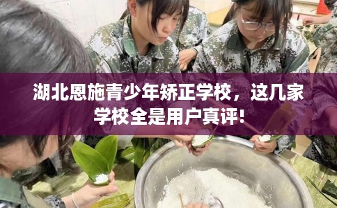 湖北恩施青少年矫正学校，这几家学校全是用户真评!