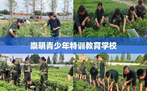 崇明青少年特训教育学校