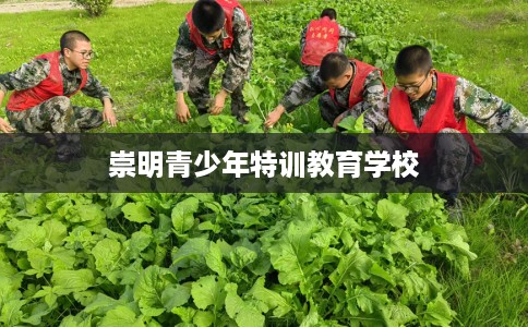 崇明青少年特训教育学校