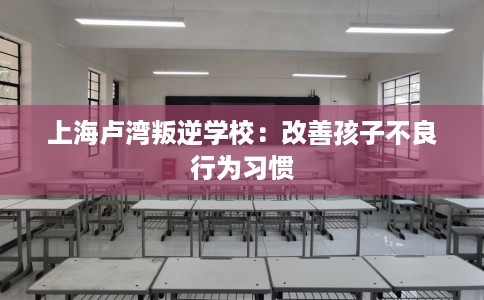 上海卢湾叛逆学校：改善孩子不良行为习惯