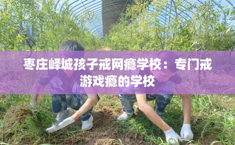枣庄峄城孩子戒网瘾学校：专门戒游戏瘾的学校
