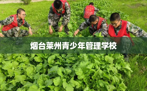 烟台莱州青少年管理学校