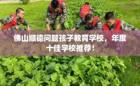 佛山顺德问题孩子教育学校，年度十佳学校推荐！