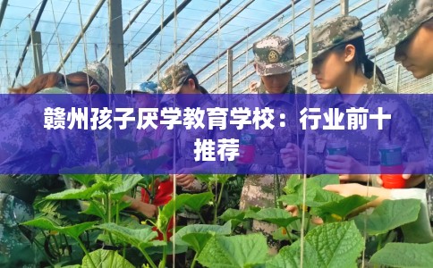 赣州孩子厌学教育学校：行业前十推荐