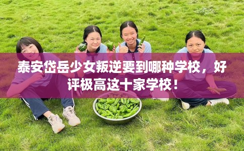 泰安岱岳少女叛逆要到哪种学校，好评极高这十家学校！