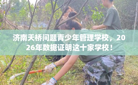 济南天桥问题青少年管理学校，2026年数据证明这十家学校！