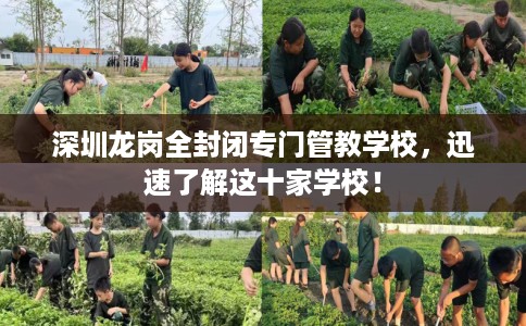 深圳龙岗全封闭专门管教学校，迅速了解这十家学校！