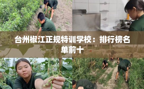 台州椒江正规特训学校：排行榜名单前十