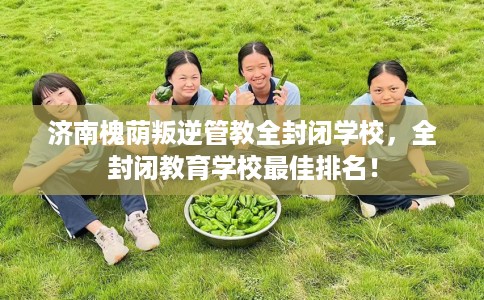 济南槐荫叛逆管教全封闭学校，全封闭教育学校最佳排名！