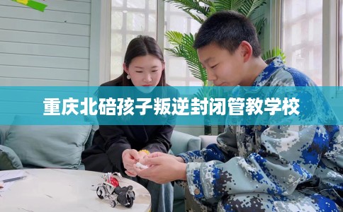 重庆北碚孩子叛逆封闭管教学校