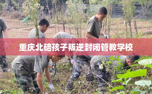 重庆北碚孩子叛逆封闭管教学校
