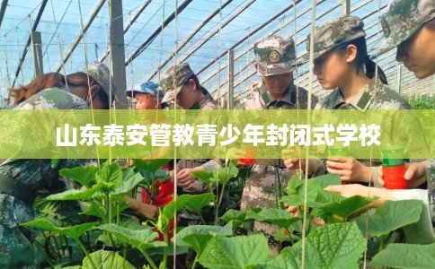 山东泰安管教青少年封闭式学校