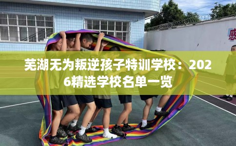 芜湖无为叛逆孩子特训学校：2026精选学校名单一览